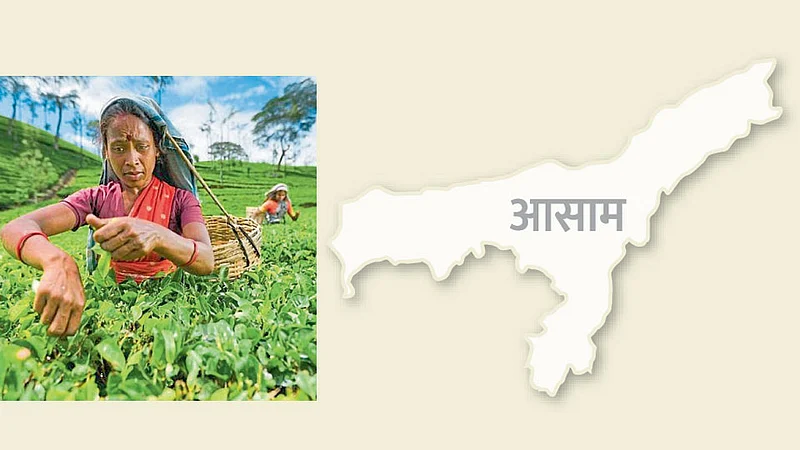 Assam