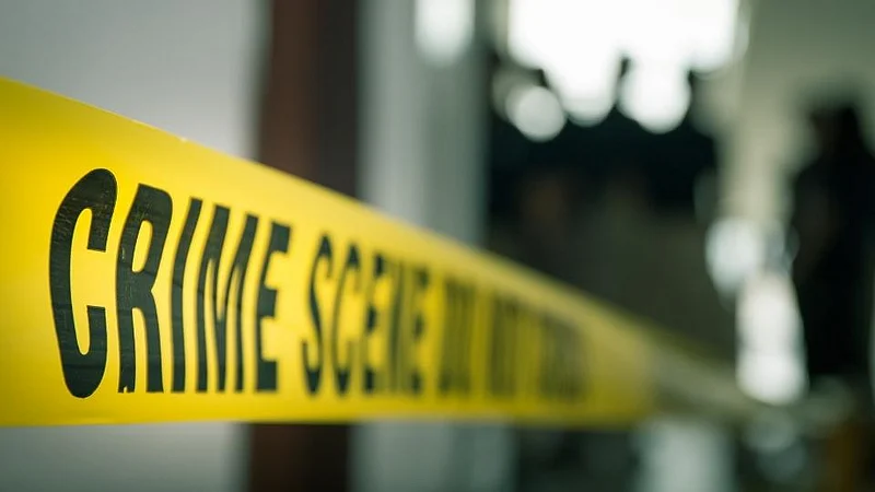 crime news