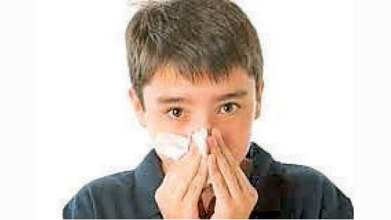 Blood-flow-in-Nose