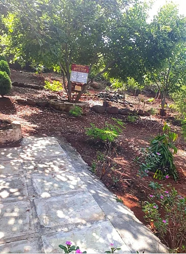 The story of Tarkaram Jhaware, a retired officer of the Agriculture Department at Takli Dhokeshwar