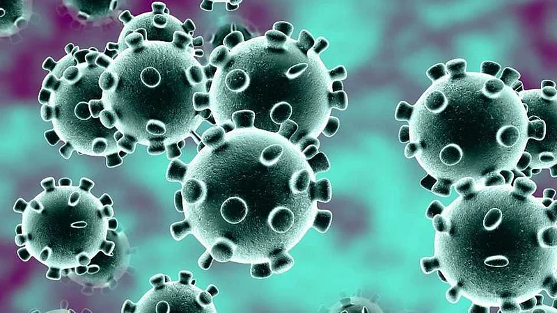 Vigilance due to coronavirus in Pandharpur