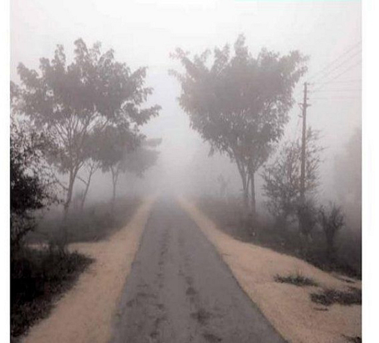 Dence Fog