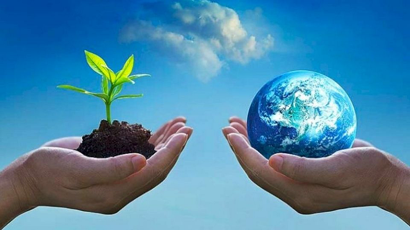 Environment