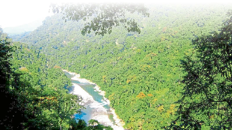 Environment
