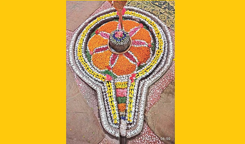 Akola News Hundreds of families take advantage of daily online darshan