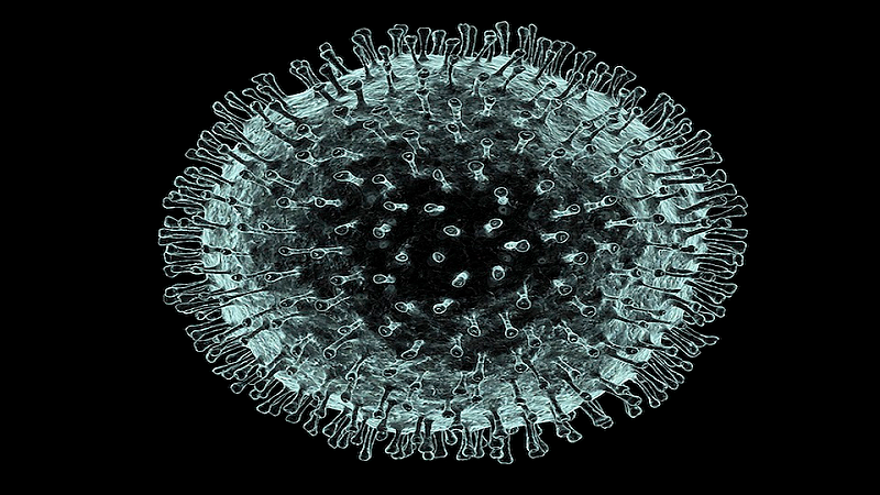corona
