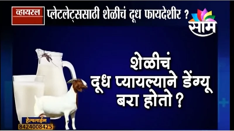Viral Satya : शेळीचं दूध डेंग्यू करतो बरा? (Video)