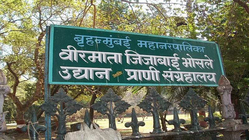 File Photo
