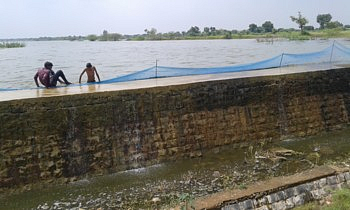 fish prices dropped