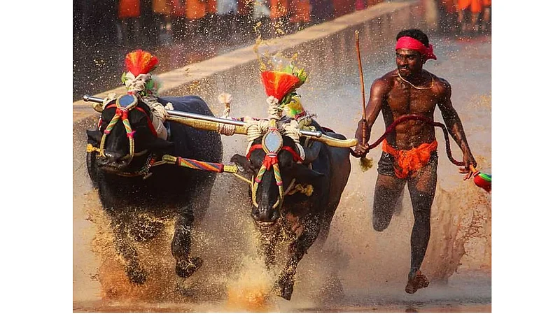 Kambala-Shrinivas-Gowda