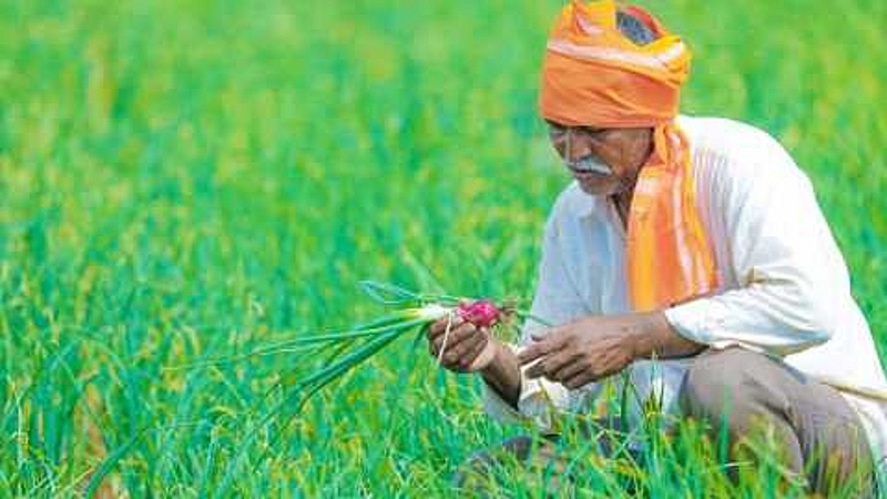 Agriculture news Kharif season crop competition for farmers pune