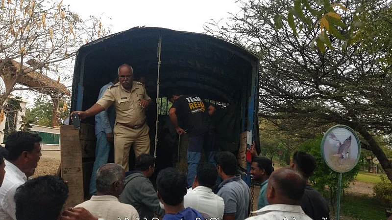 Leopard caught at Baramati