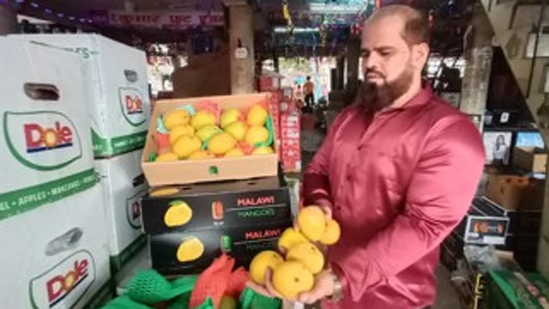 Malawi mango market in South Africa