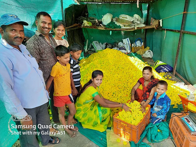 Marigold growers are getting Rs 100 per kg during Diwali.jpg