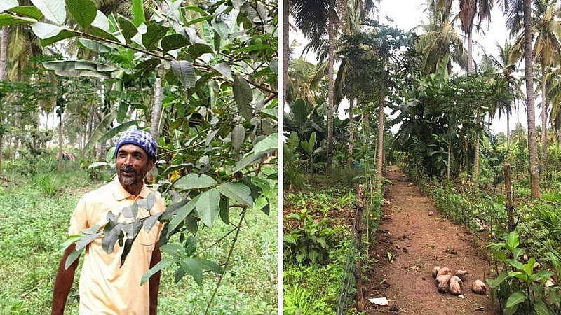 Organic agriculture