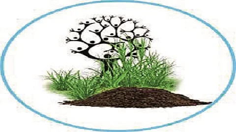 Paani Foundation