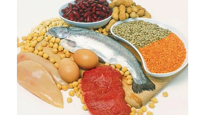 Protein