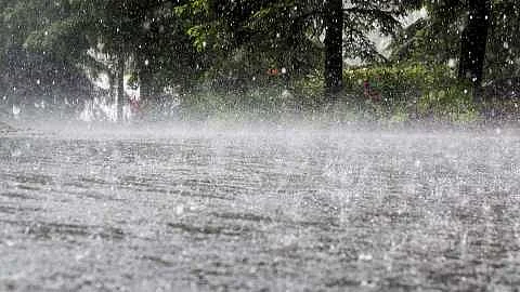 Rain