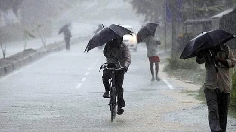 Rain
