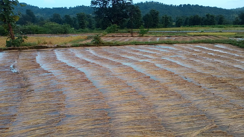 Return rains hit lakhs of farmers