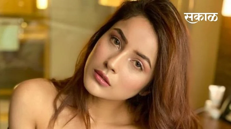 actress shehnaaz gill says thanks to those who are sharing her morphed video and giving acid attack threat}