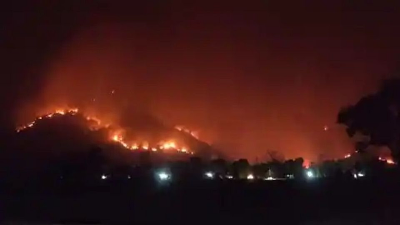 odisha forest fire