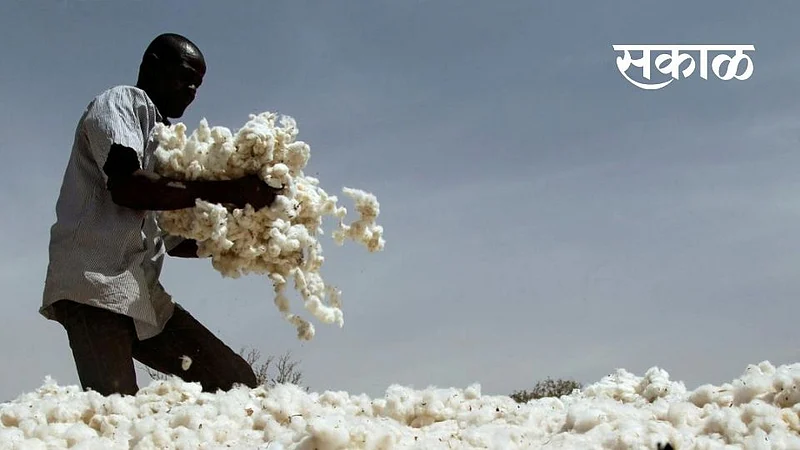 cotton}