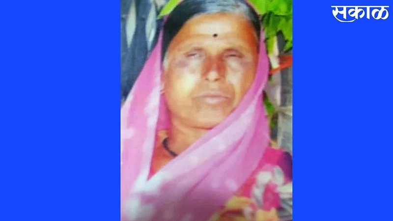 Bhokardan Accident News