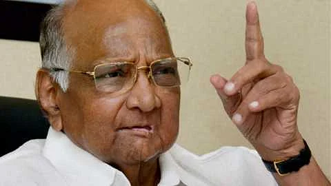 Solapur zp will be the president of NCP