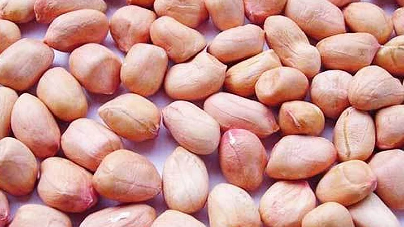 Groundnut production is likely to decline