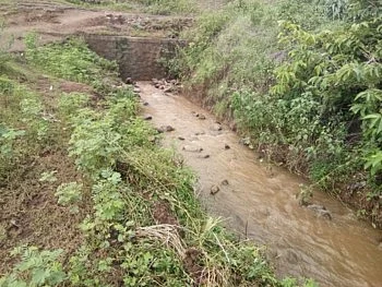taloda project overflowed