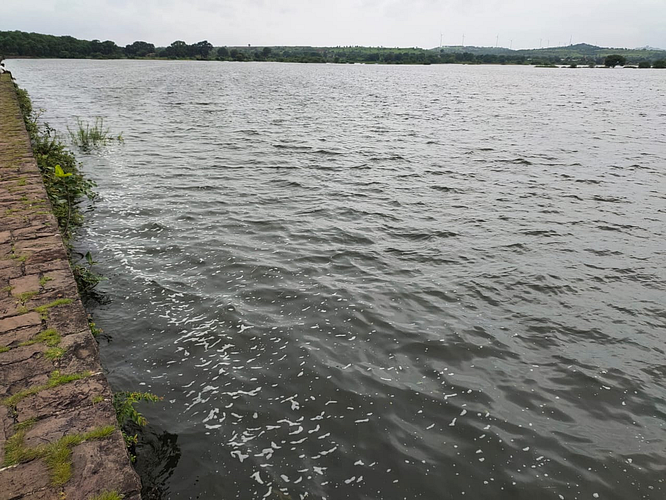 Lake work by Rotary Club in Karjat taluka