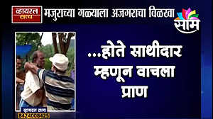 Viral Satya : मजुराच्या गळ्याला अजगराचा विळखा (Video) Viral Satya : मजुराच्या गळ्याला अजगराचा विळखा (Video)