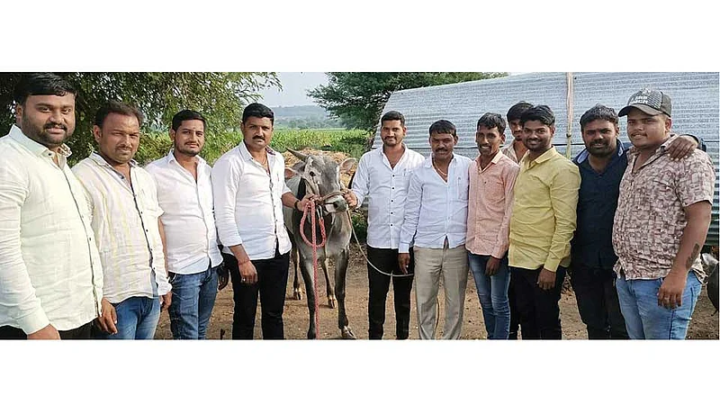 The amateur farmer counted for 16 lakh 50 Thousand for bullock