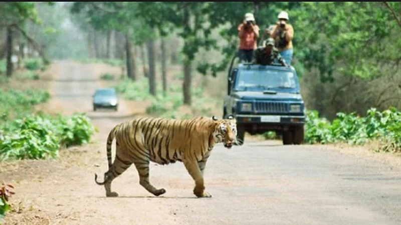 Akola News: Eco-tourism project to be held in Kutasa, Rohankhed forest area