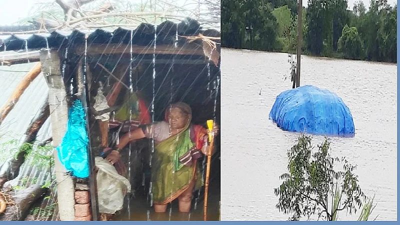 Umarga paus 14.jpg