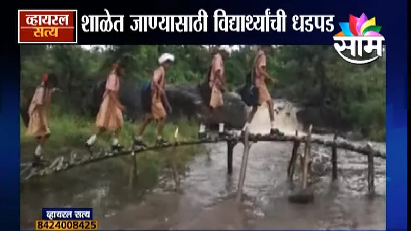 Viral Satya video bamboo bridge built by the children for the school