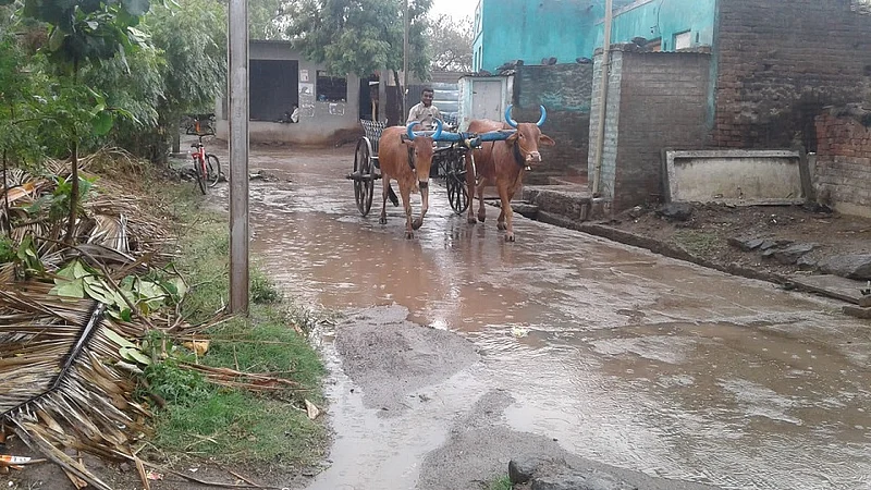 वडीगोद्री परिसरात पावसाचे साचलेले पाणी