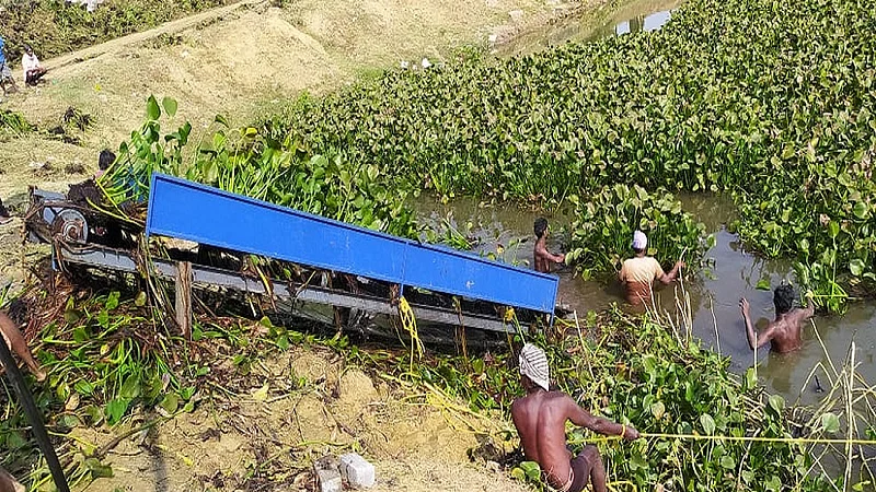 Cornia spread in malgujari lake in Rajura Chandrapur