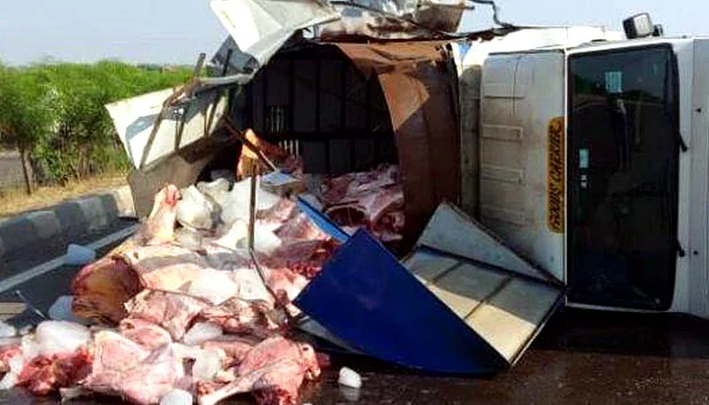 Beef scattered on Pune-Nashik National Highway