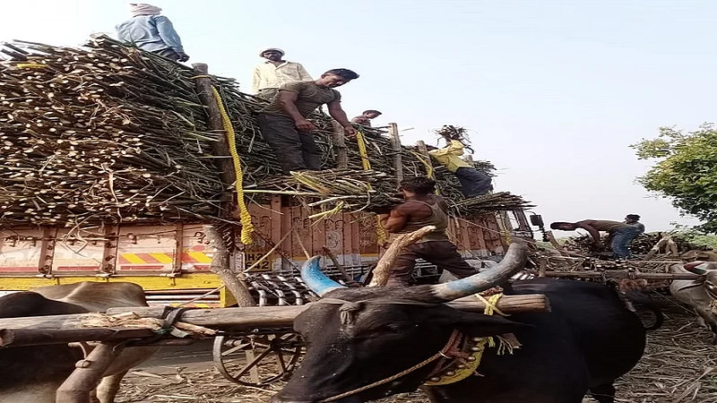 बॉयलर.jpg