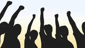 In Akola district 79 youths have got employment through four online job fairs