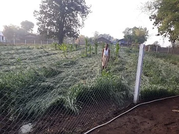 नंदुरबार जिल्ह्यात अवकाळी पावसाने शेतकऱ्यांवर पुन्हा अवकळा