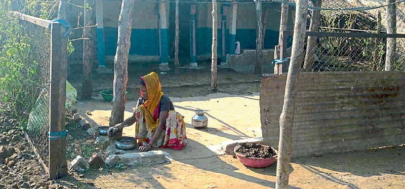 adivasi