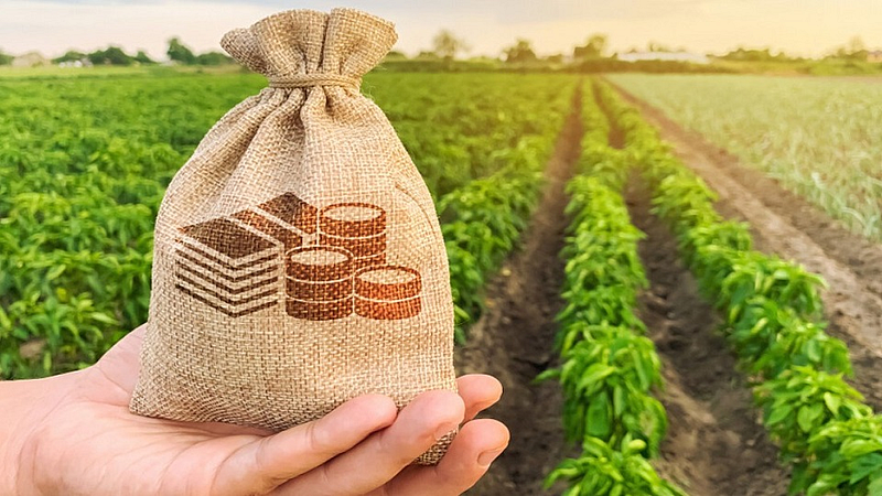Crop-wise-cluster-cell-for-agricultural-exports