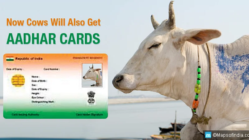animal aadhar