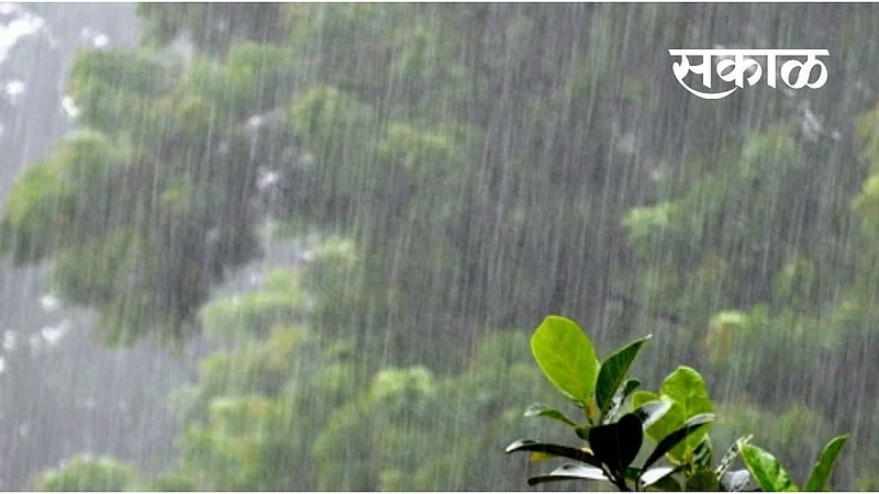 अवकाळीचे संकट; धुळे, नंदुरबार जिल्ह्यांत गारांसह पाऊस