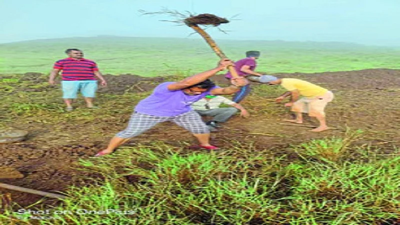bhavani donger.jpg