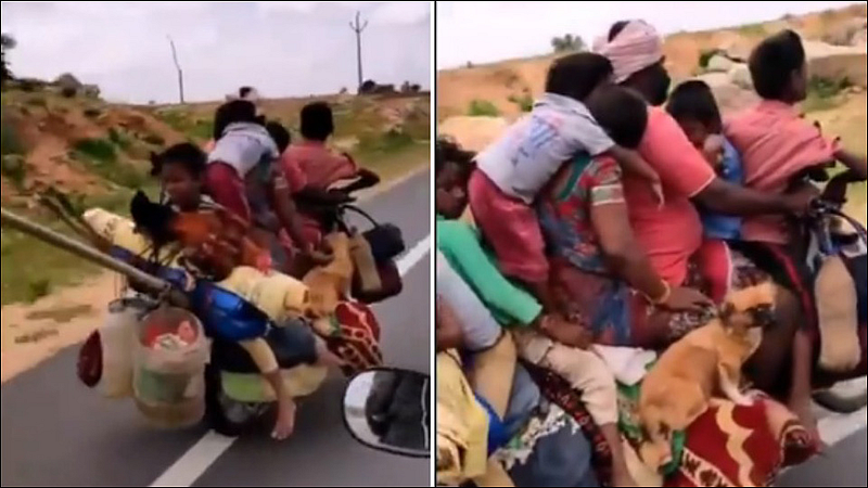 Family of 7 Rides on Bike with 2 Dogs and Hen Video viral