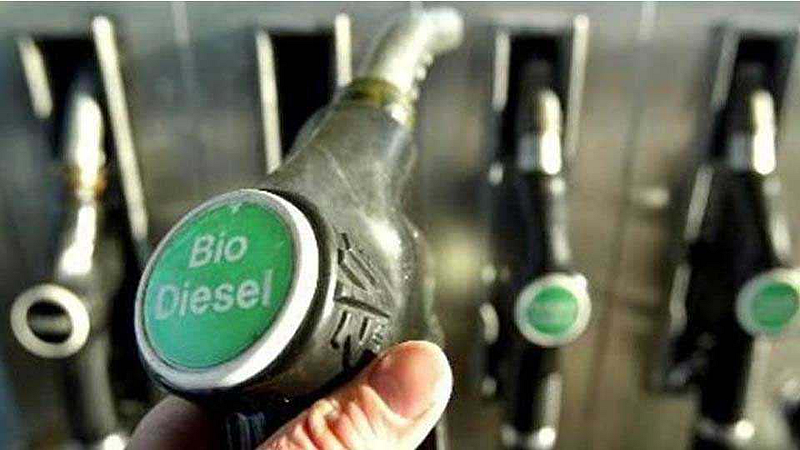 biodiesel case petrol pump sealed in chandrpuri area nashik marathi news